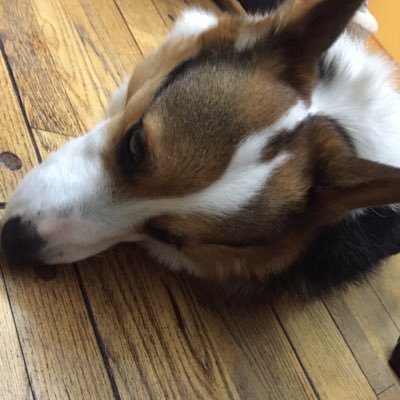 hadi_jeremy's profile picture. 