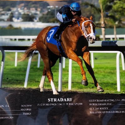 Thoroughbred trainer in California and stable  at Golden Gate Fields 🏇