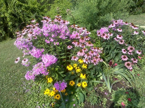 BuckinghamPond's profile picture. Working for the future of a small pond and a few acres of land in Albany, NY.