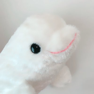 ましゅねこさんのプロフィール画像
