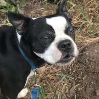 pattyrudolph (@pattyrudolph2) 's Twitter Profile