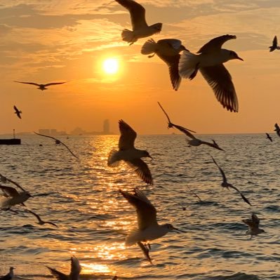 afraalza3abi's profile picture. اللهم ارحم امينه بن مجرن فهي أغلي مافقدت💕