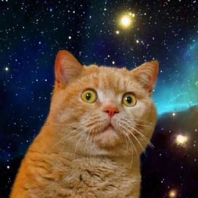 Ronghengzhen's profile picture. 