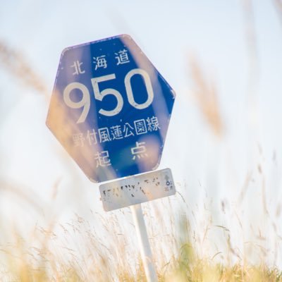 ytsumo's profile picture. 気軽にフォローしてね🌾