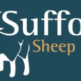 Suffolk Sheep Society (@sheep_suffolk) 's Twitter Profile