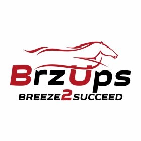 BrzUps Profile Picture