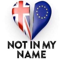 Diane Gilder 🇺🇦🇪🇺🇬🇧🇵🇹#FBPE, #FBPA (@justsaydiane) 's Twitter Profile