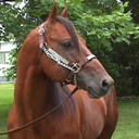 BMead - @BeverlyMead9 - Twitter