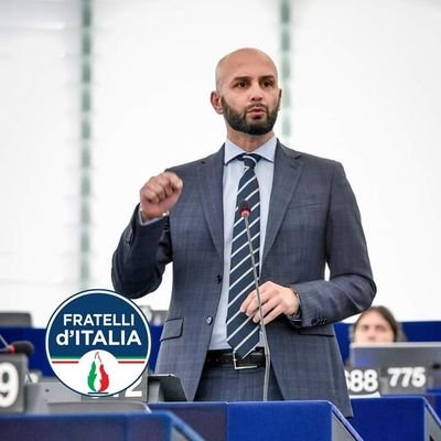 Co-Capogruppo dell'ECR al Parlamento Europeo 

Responsabile dipartimento Ambiente ed Energia di Fratelli d'Italia 🌳🇮🇹