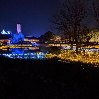 fx_novicetrader's profile picture. 初心者マークのFXトレーダーです。