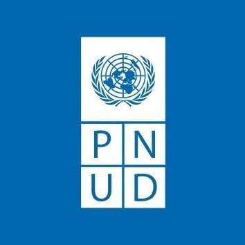 PNUDMALI Profile Picture