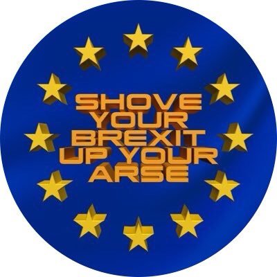 #GeneralElectionNOW #NotMovingOn 🇪🇺🇨🇦🇬🇧🇺🇦#StandWithUkraine #ReJoin #NotMyPM #NotMyBrexit #ToriesOut #NHSLove #FBPE 😷