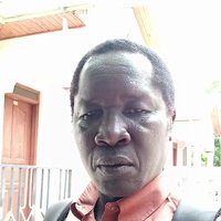 Ochan (@ochan26732867) 's Twitter Profile Photo