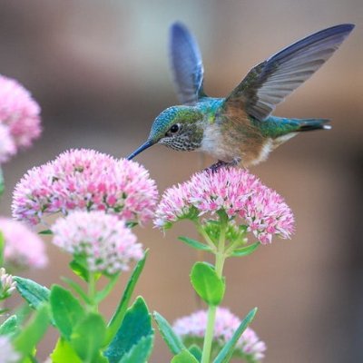 YOJodV5Gfc0dSey's profile picture. 