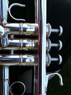 AmyWoodley's profile picture. Mom, teacher, musician, activist, and animal lover. Music Coordinator at Jeffco Public Schools.