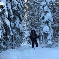 Ian Bickis (@ianbickis) 's Twitter Profile