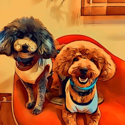 ii_Hiro_ii's profile picture. 伊勢湾奥でルアー釣りする初老。シーバスメインでフラット、根魚、稀に菅釣り。ナマズ楽しい!無言フォロー大歓迎!よろしく (*^∇^*)ノ