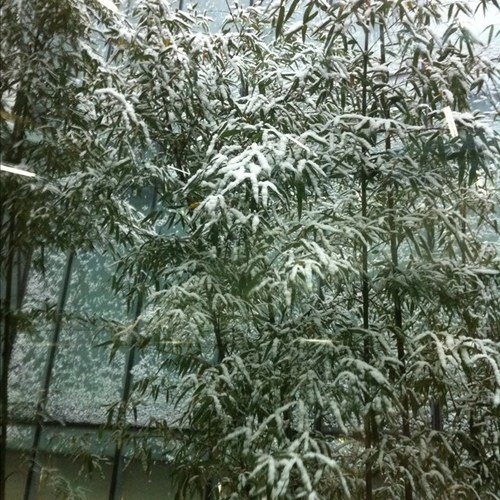 kangminho11's profile picture. 