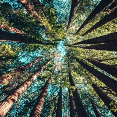 #vegan lifestyles and how it will benefit us all.
#fastfashion #sustainable #savetheworld
