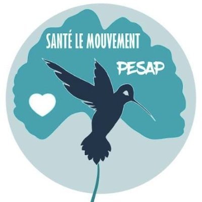 Association des étudiants du Master PESAP de l’@umontpellier | #Prevention #PromotionSanté #SantéPublique #ActivitéPhysique #SciencesSociales