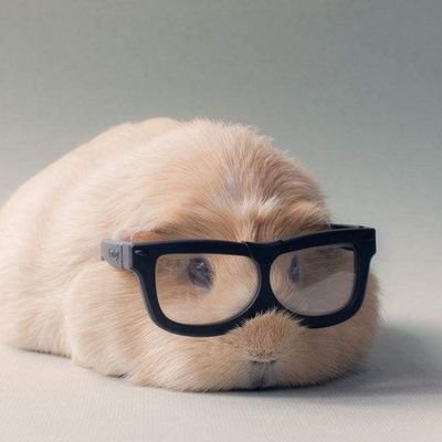 Jasonnn888818's profile picture. xoxoxo