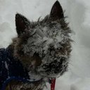 Bonnie Staudt - @BroadwayBon - Twitter