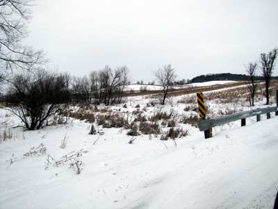 WERGFInc's profile picture. 