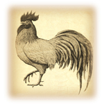We love all things country and believe in the importance of buying local. So we host an annual Harvest Show festival in Delaware, Ohio. http://t.co/TBXBplJj