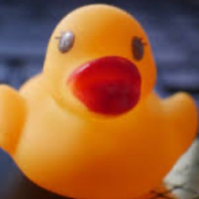 NasDuck