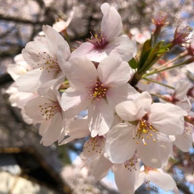 介護福祉士ですが… 介護関係ほとんど呟かず…🤣皆様のツイート拝見させて頂き勉強現在進行形です😅 勝手にいいねごめんなさい(/. .\)