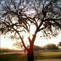 IanReign13's profile picture. 