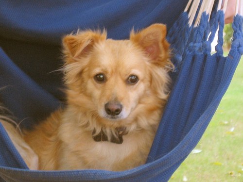 owenwilliams1's profile picture. Exiled Brit - Loving SA. Technology and Apple fanatic. Supporting any team that beats the Aussies.