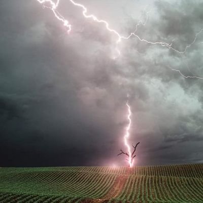 joseph_gattone's profile picture. Earth Plant Environments