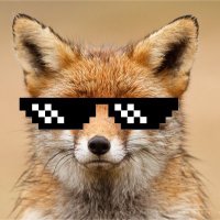 DeFiFox (@cryptofox19) 's Twitter Profile