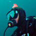 新小岩のダイビングプロショップ パル(江戸川区 葛飾区 東京発 日帰りダイビング) (@dive_pal) Twitter profile photo 新小岩のダイビングプロショップ パル(江戸川区 葛飾区 東京発 日帰りダイビング) (@dive_pal) Twitter profile photo