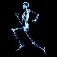 SFHRadiology (@sfhradiology) 's Twitter Profile