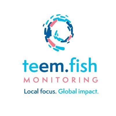 teem_fish's profile picture. 