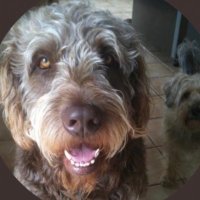 Tim Preston (@timpreston64) 's Twitter Profile