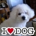 MT (@232bigroost) Twitter