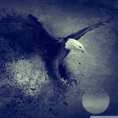 ondrgsh's profile picture. 