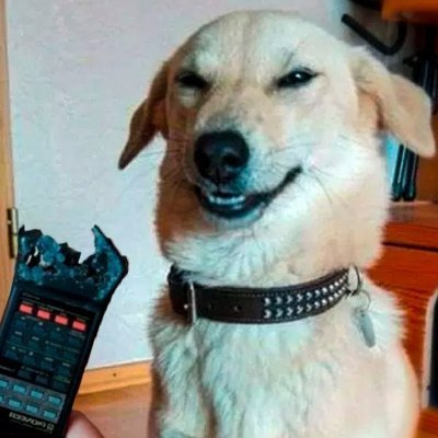 Sylvain_mrgt's profile picture. Futur riche