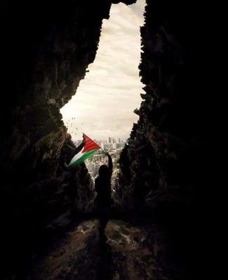 GOSBwMIui5JNW5i's profile picture. 