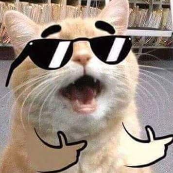 lolibewbs's profile picture. 