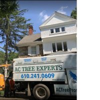 AC Tree Experts, Inc.(@ACTreeExpertsI1) 's Twitter Profile Photo