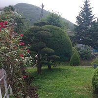 吉田@借金まみれない💸 (@yosidangon) Twitter profile photo