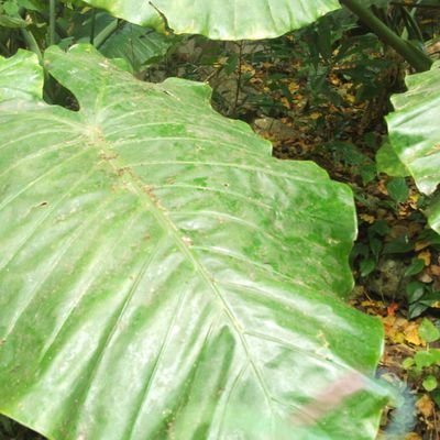 M1CM7RTDbSqGnvN's profile picture. こんばんは(^_^)
プロフィールご覧いただきありがとうございます♥️

ココナラにて
占いヒーリングを出品いたしております♥️

貴方のより幸せへの近道のためにツイートして行けたらと思います(^_^)∞*
より、うんと幸せになってくださいね

日々、鳥の声の響く自然の地で
♥️お待ちいたしております♥️