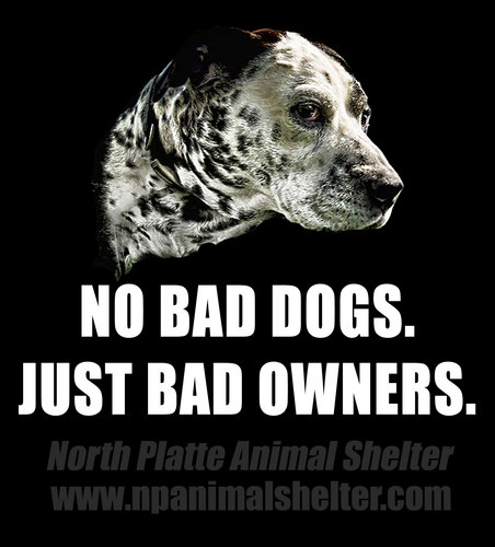 npanimalshelter's profile picture. Lost or found a pet? We want to help! Lost and Found pets are posted here. Subscribe to get immediate updates.