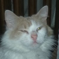 Jueles (@jueles2) 's Twitter Profile