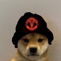 Nad (@utdnadd) 's Twitter Profile