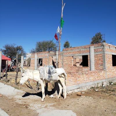 El pueblo no debería de temerle a sus gobiernos; los gobiernos deberían de tener miedo de su gente. #LigaDeGuerreros
